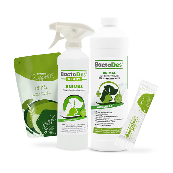 BactoDes® Animal - Der Tiergeruchsentferner